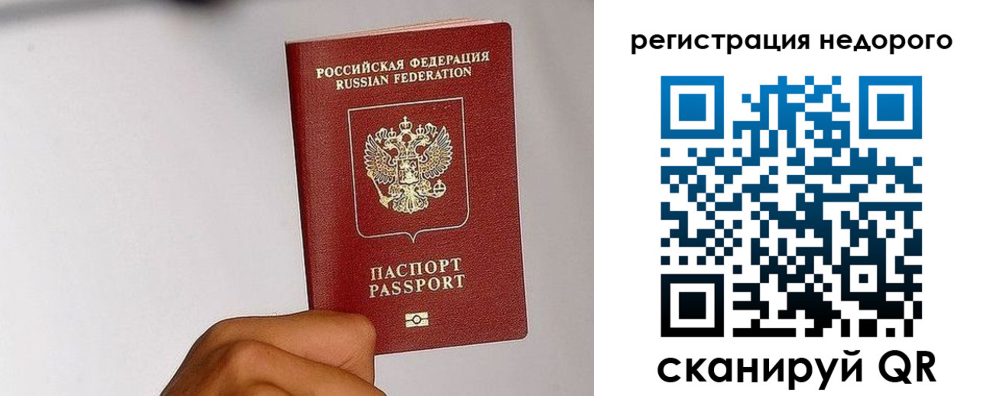 прописка 2025 в Зеленогорске